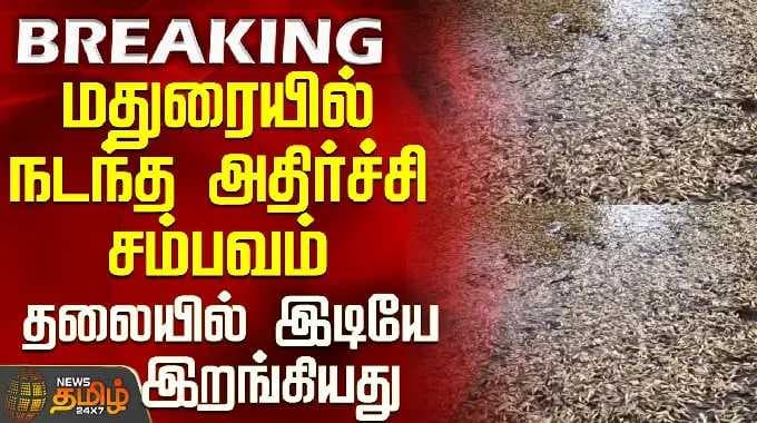 Madurai | மதுரையில் நடந்த அதிர்ச்சி சம்பவம் - தலையில் இடியே இறங்கியது