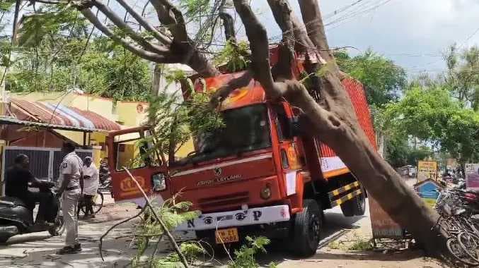 மின் கம்பிகள் உரசியதால் ஏற்பட்ட விபரீதம்