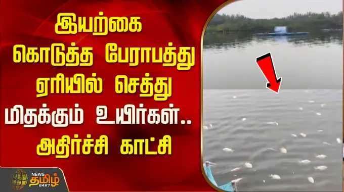Krishnagiri | இயற்கை கொடுத்த பேராபத்துஏரியில் செத்து மிதக்கும் உயிர்கள்.. அதிர்ச்சி காட்சி