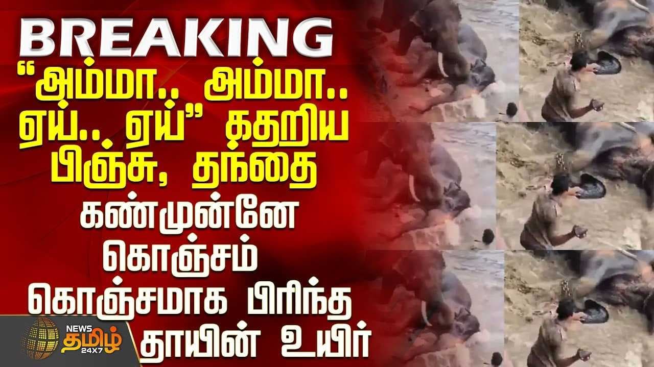 கர்நாடகாவில் யானைக் குளியலை ரசித்தபோது விபரீதம்