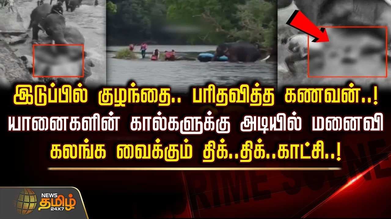 யானைகளின் கால்களுக்கு அடியில் இளம்பெண், அதிர்ச்சி சம்பவம்