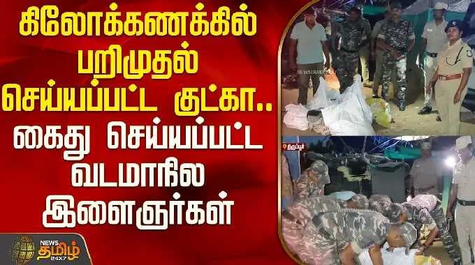 கிலோக்கணக்கில் பறிமுதல் செய்யப்பட்ட குட்கா; கைது செய்யப்பட்ட வடமாநில இளைஞர்கள் | Tirupur Gutkha Raid