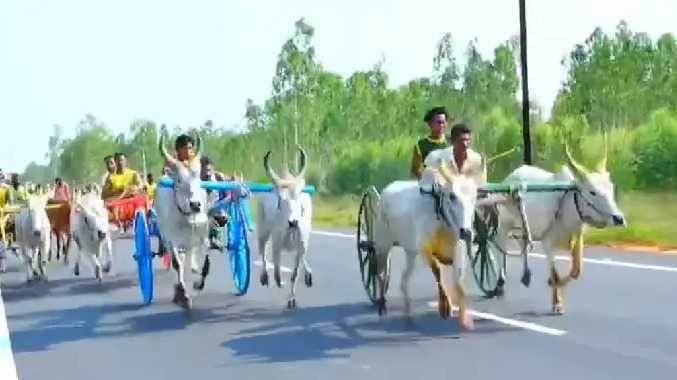 எல்கை பந்தயம்
