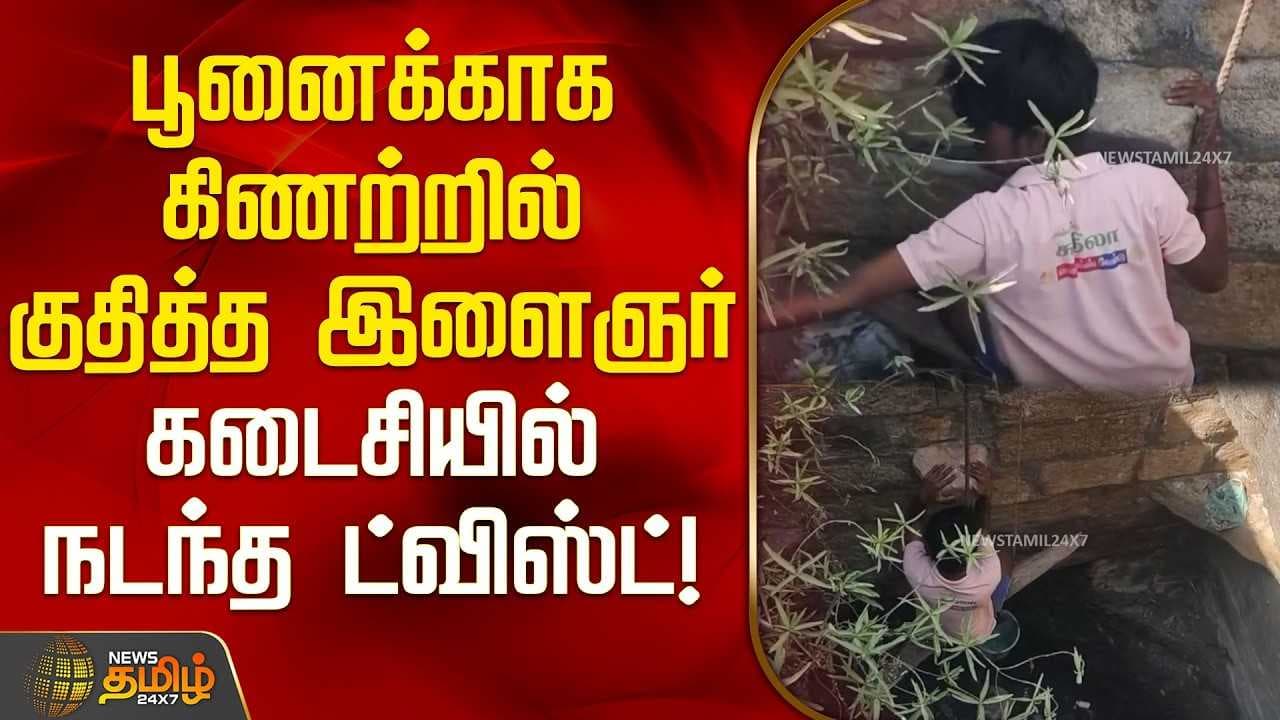 பூனையை உயிரை பணயம் வைத்து மீட்ட இளைஞர்