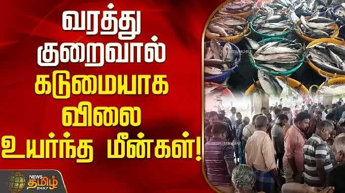 வரத்து குறைவால் கடுமையாக விலை உயர்ந்த மீன்கள்! | தூத்துக்குடி திரேஸ்புரம் | Thoothukudi Fishmarket