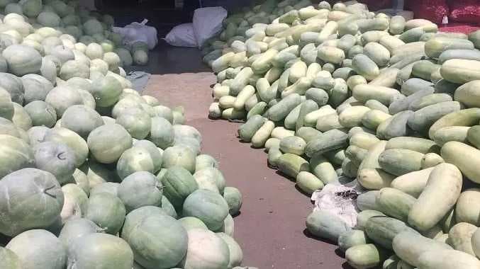 சாம்பார் பூசணி விலை உயர்வு