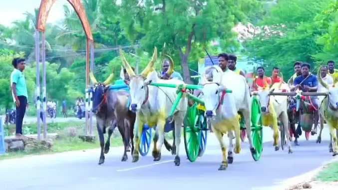 மாட்டு வண்டி பந்தயம்