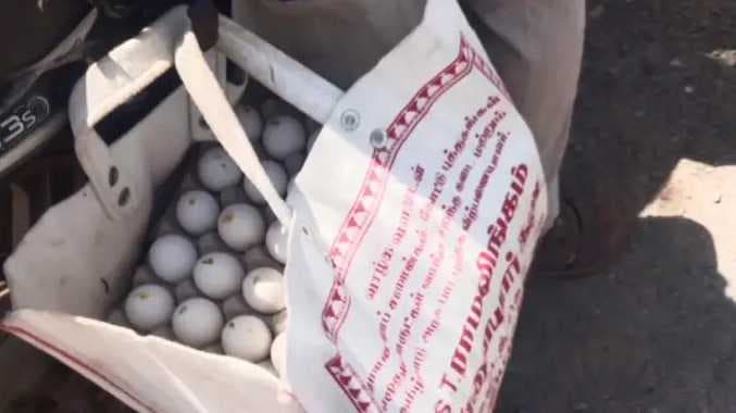 முட்டைகளை எடுத்து சென்ற வீடியோ
