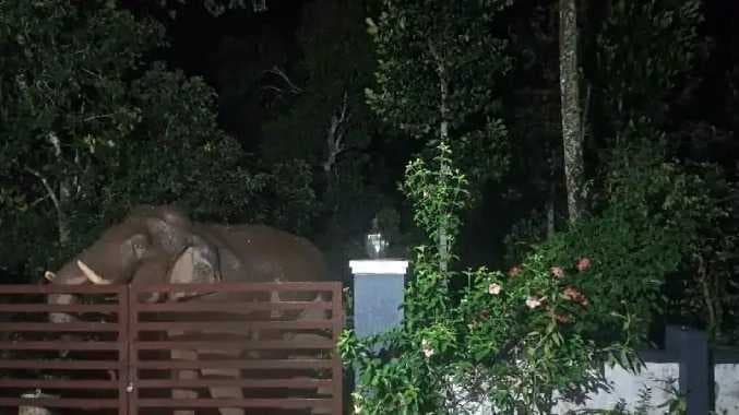 பந்தலூர்
