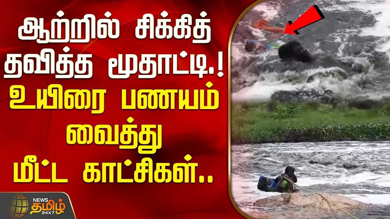 ஆற்றில் சிக்கித் தவித்த மூதாட்டி, உயிரை பணயம் வைத்து மீட்ட காட்சி