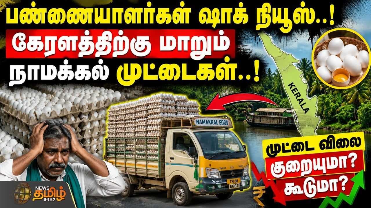 முட்டை விலை குறையுமா? கூடுமா? பண்ணையாளர்கள் ஷாக் நியூஸ்