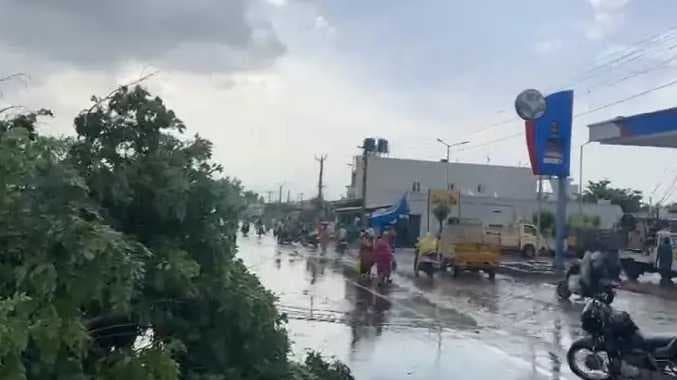 மரங்கள் முறிந்து விழுந்தன