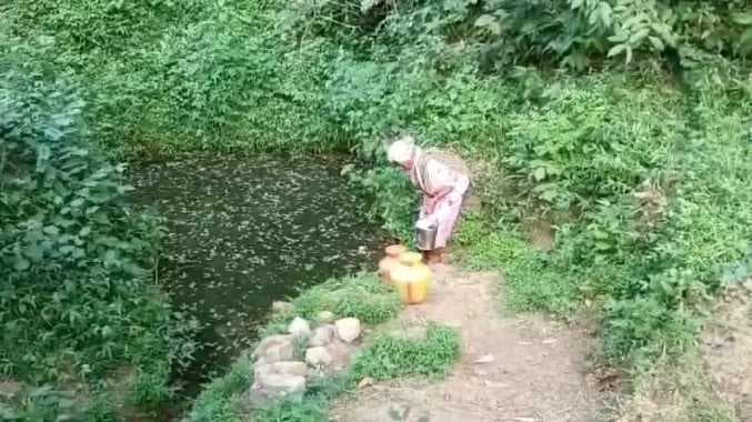 கோவை