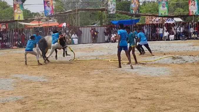 மஞ்சுவிரட்டு