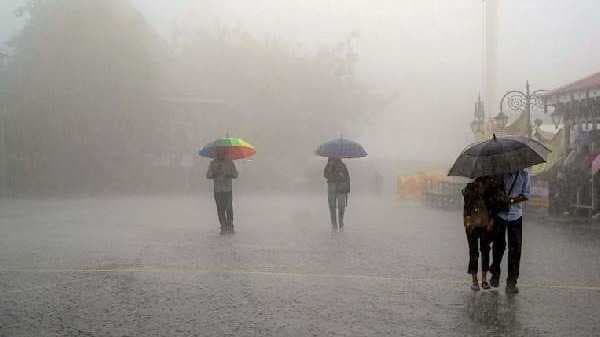 rain