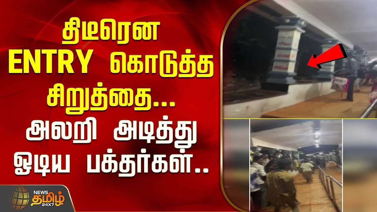 திடீரென Entry கொடுத்த சிறுத்தை