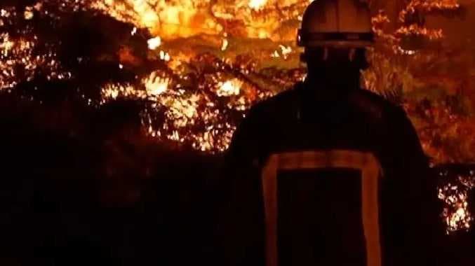 Forest fire