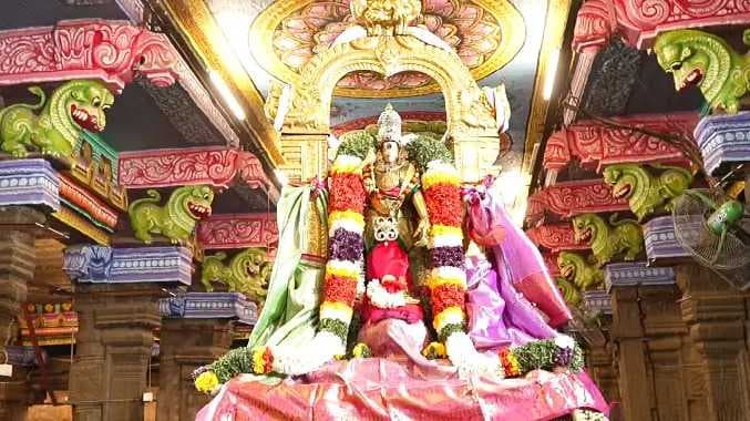 மதுரை மீனாட்சி