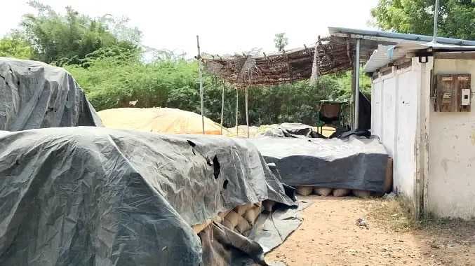 நெல் மூட்டைகள்