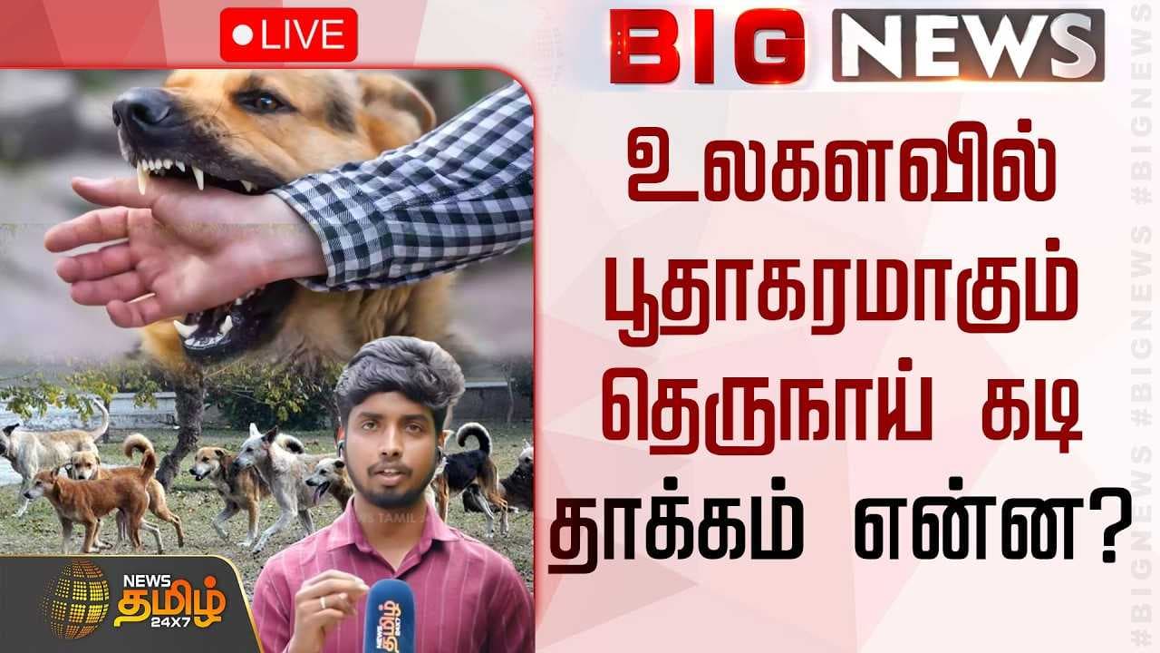 உலகளவில் பூதாகரமாகும் தெருநாய் கடி, தாக்கம் என்ன?