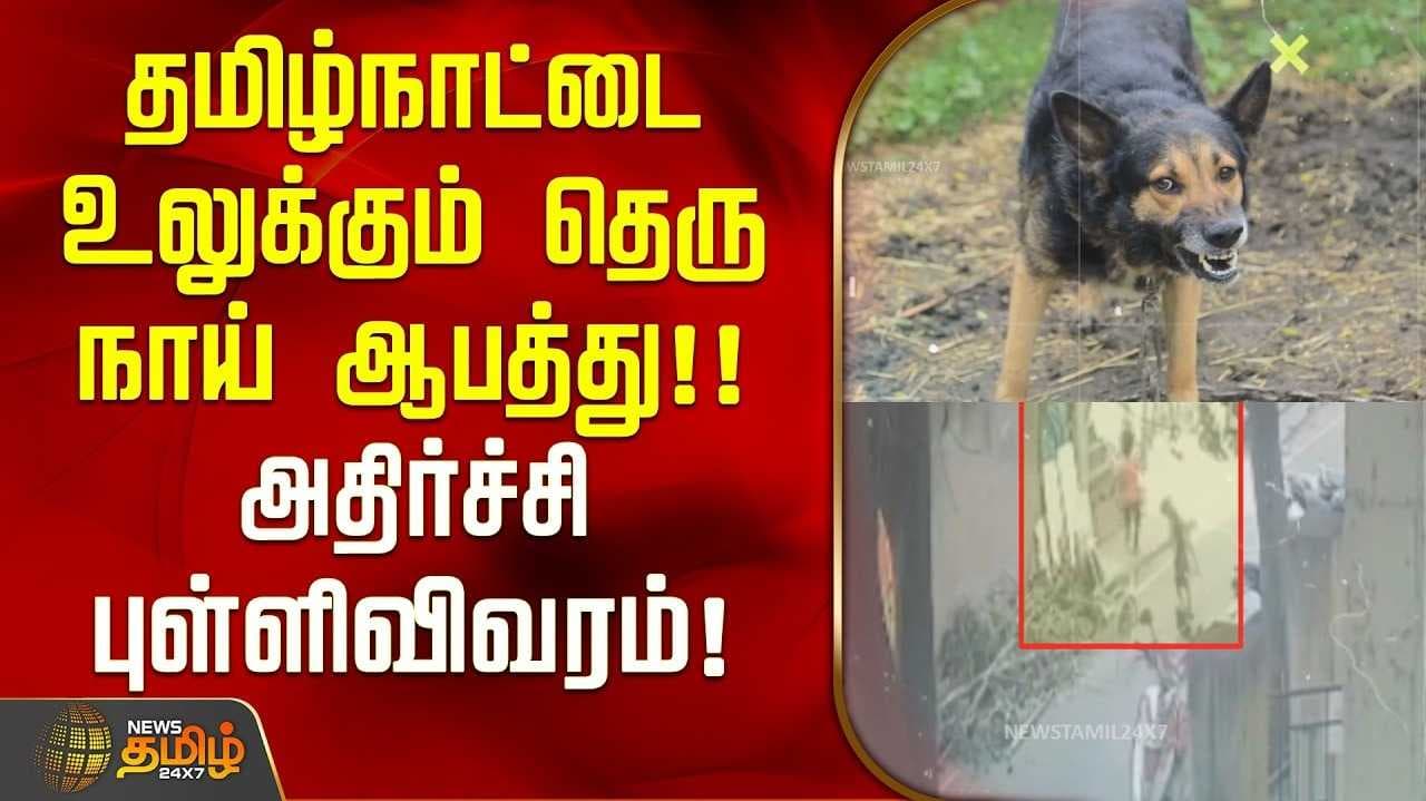 7.5 லட்சம் நபர்கள் நாய்க்கடியால் பாதிப்பு, 40 பேர் பலி