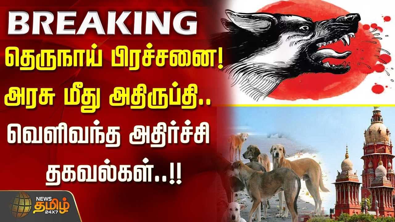 தெருநாய் பிரச்சனை, அரசு மீது அதிருப்தி