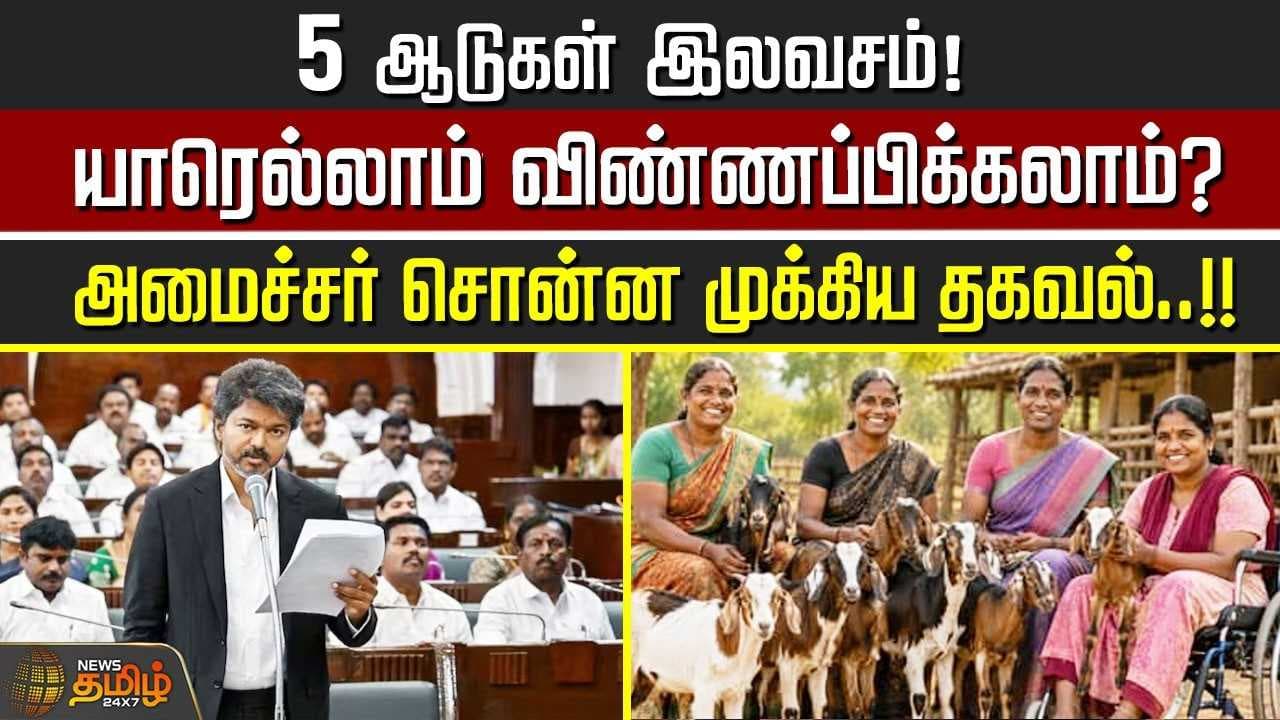 5 ஆடுகள் இலவசம், யாரெல்லாம் விண்ணப்பிக்கலாம்?