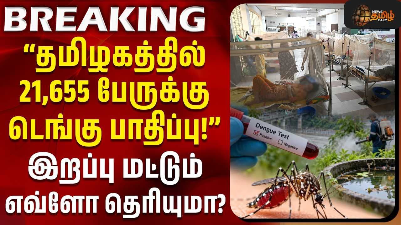 தமிழகத்தில் 21,655 பேருக்கு டெங்கு பாதிப்பு