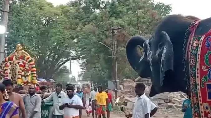 Mdu kallazhagar