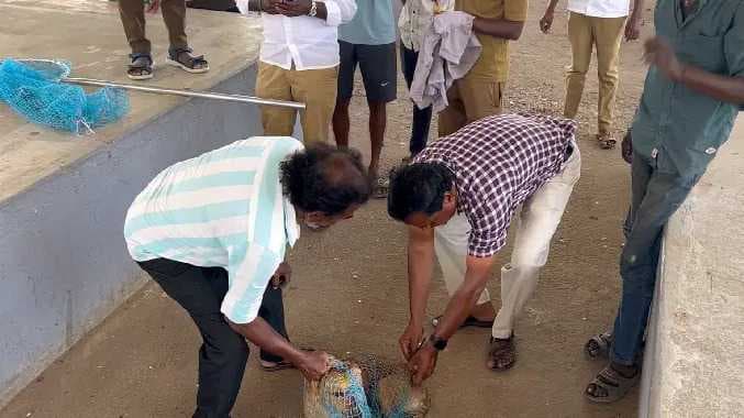 CBE Dog injection