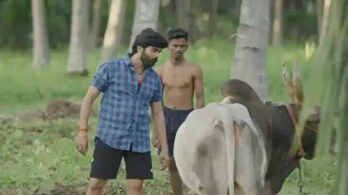 Shooting spot accident