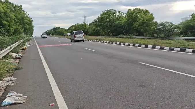 இறைச்சிக் கழிவுகள்