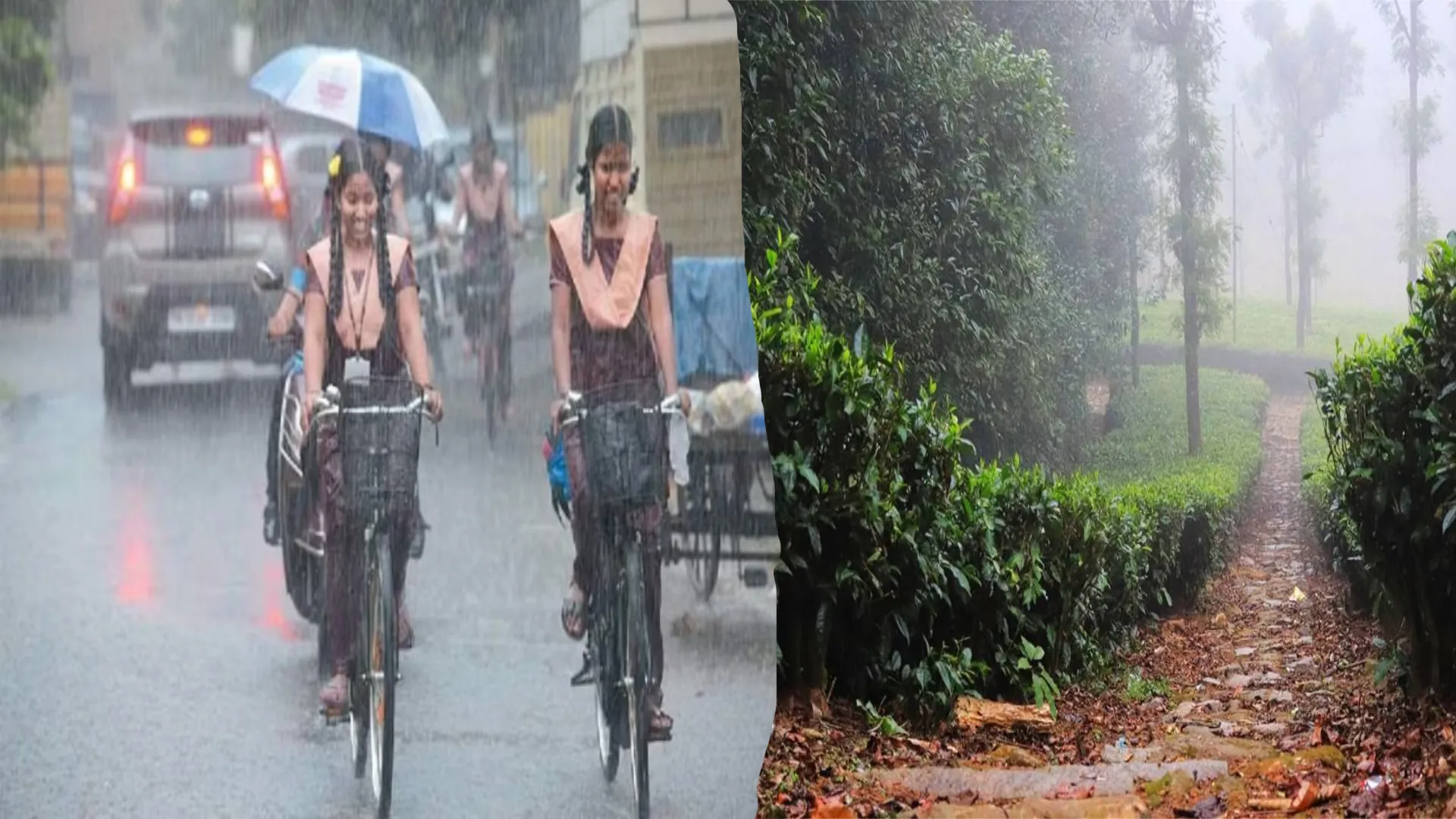 நீலகிரி மாவட்ட பள்ளிகளுக்கு விடுமுறை | Nilgiris | School Leave | Rain | NewsTamil24x7